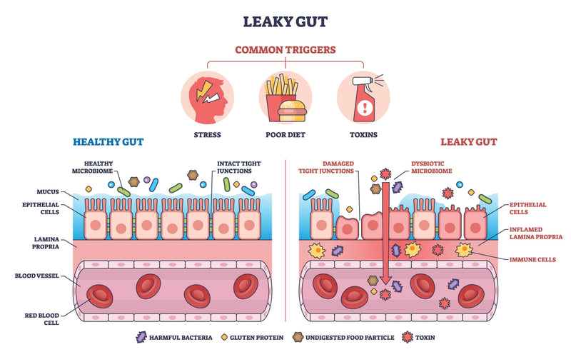 Leaky Guy diagram showing causation.