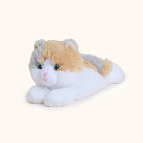 Calico Cat Warmies